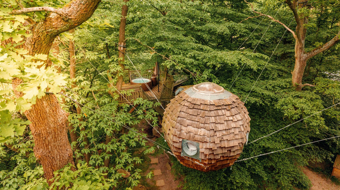 Le Bois de Rosoy : le refuge insolite à seulement 1 heure de Paris